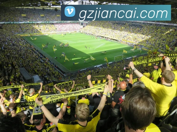 开云手机入口官方网站APP 体育赛事宣传图